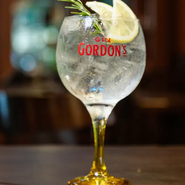Gin Tonica