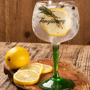 Gin Tônica